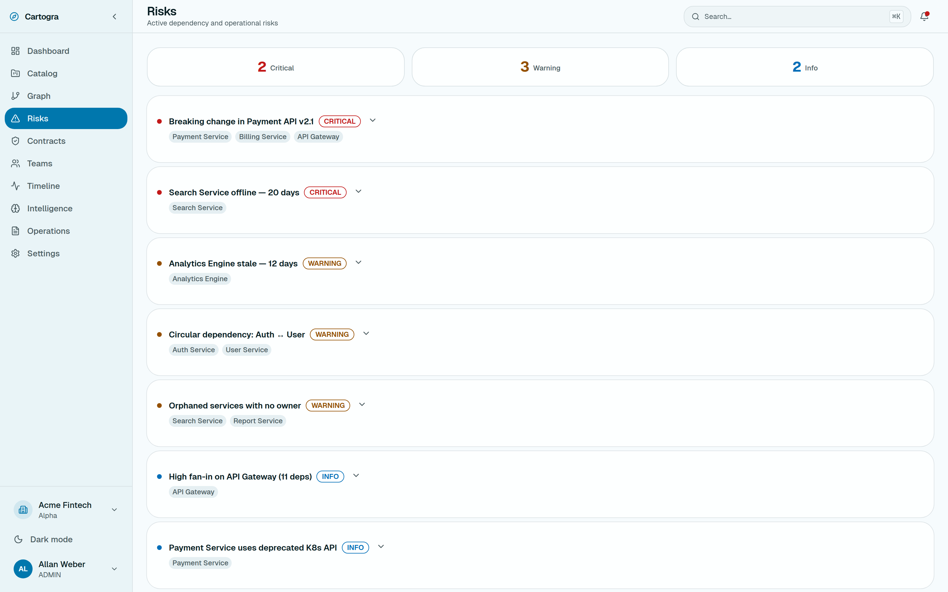 Risks page listing critical and warning architectural findings